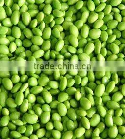Automatic Bean Skin Peeling Removing Shelling Machine photo-5