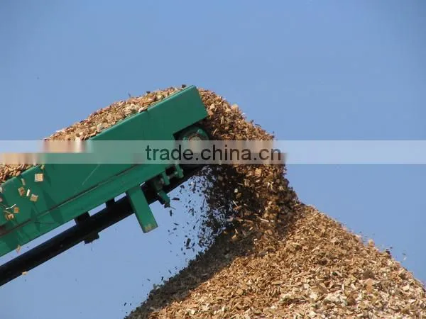 ACACIA, EUCALYPTUS WOOD CHIP FOR PAYPER AND PULP FROM VIET NAM photo-4