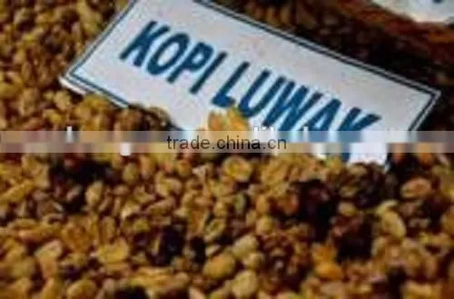 Coffee Roasting Machines