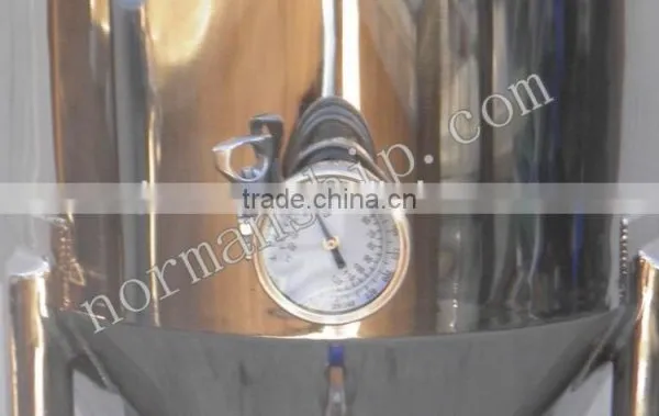 100L Jacketed Beer Fermentation Tank photo-3