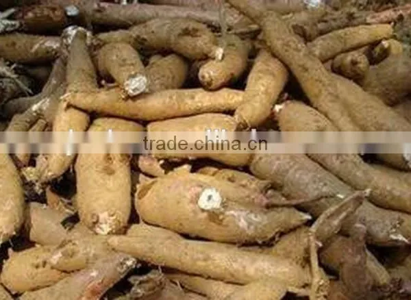 we Supply Big Capacity Cassava Peeling Machine +8618637188608 photo-3