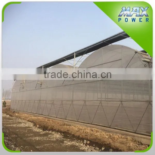 Cooling Pads Greenhouse Structure photo-3
