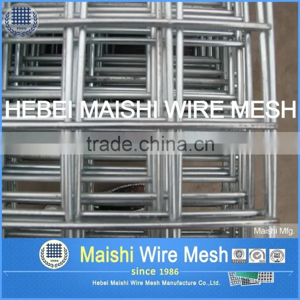 Welded Wire Mesh (iso9001 Factory Price) photo-3