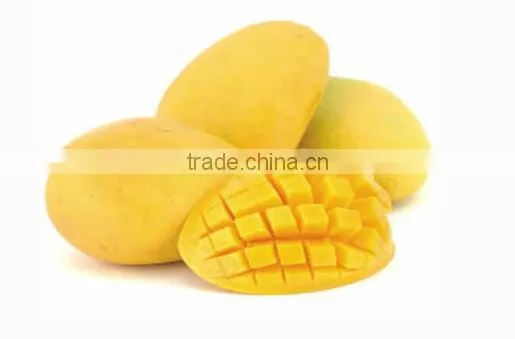 Mango Flavoured Fruits Drink Powder photo-2