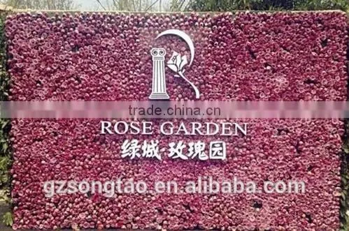 Artificial Plant Wall for Outdoor Decorative Plant Wall photo-2