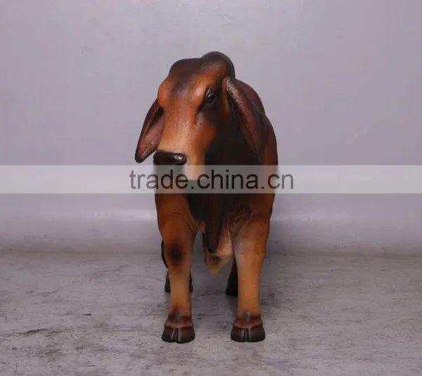 Definitive Brahman Looking Right photo-2