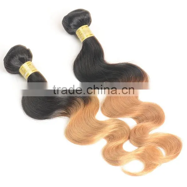 Wholesale Price 1b/27 Color Ombre Hair Weaves , Indian Hair photo-4