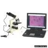 Sell 3 Megapixel Digital Microscope