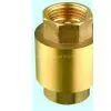 Check Valve 2