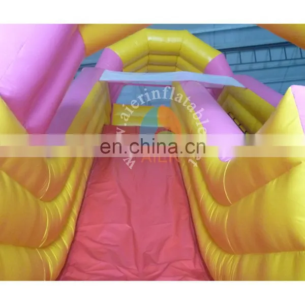 High Quality Inflatable Slide Pink Party for Kids Girls photo-6