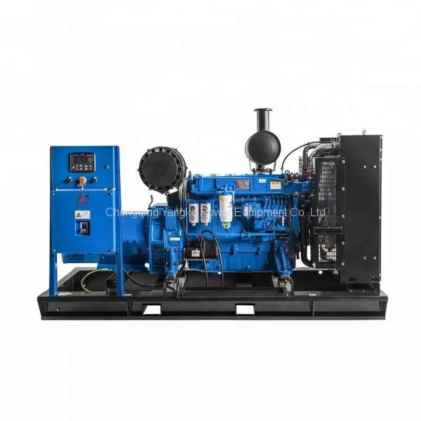 China Well Know Weichai Engine 10Kw Brands Alternator Small Biodiesel Diesel Generator Set photo-3