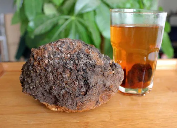 Chaga Mushroom Extract