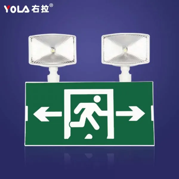 High Quality Emergency Two Heads Rechargeable Led Lights photo-4