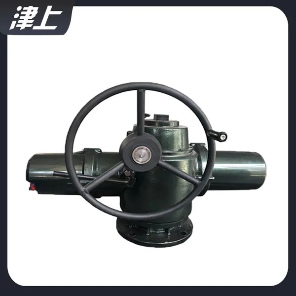 Valve Electric Device IQM25 Corrosion Resistant Electric Actuator photo-5