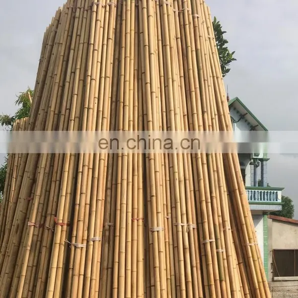 Professional Product and Lowest Price Raw Bamboo Standard Size Open for Handmade Product From Distributor in Viet Nam