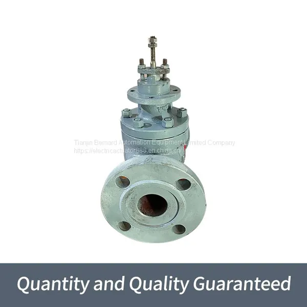 Bernard Direct Stroke Electric Actuator A+Z100/K1260 Single Seat Electric Regulator photo-2