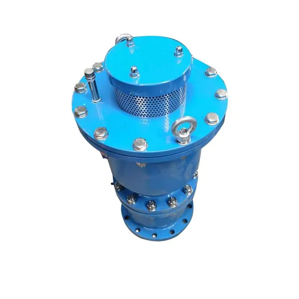 Manufacturer Wholesale High-speed Exhaust Valve Stainless Steel Anti Water Hammer Exhaust Valve photo-5