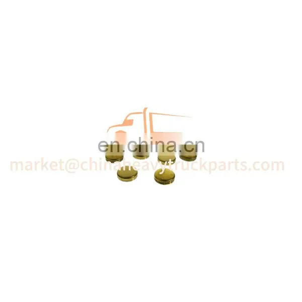 Foton Auman/Aumark/Miler/Land Pioneer Weichai Engine Gearbox Zf/Fast Truck Spare Parts 90003989215 Bowl Shaped Plug photo-2