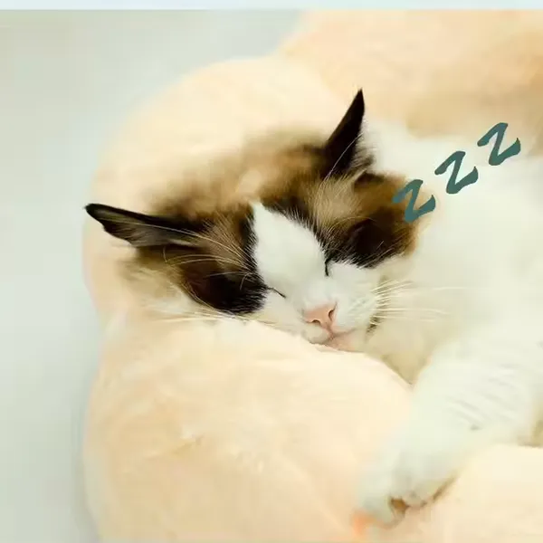 Winter Soft Warm Semi-Enclosed Cat Litter Dog Bed House Indoor Cozy Comfy Pet Cat Bed photo-2