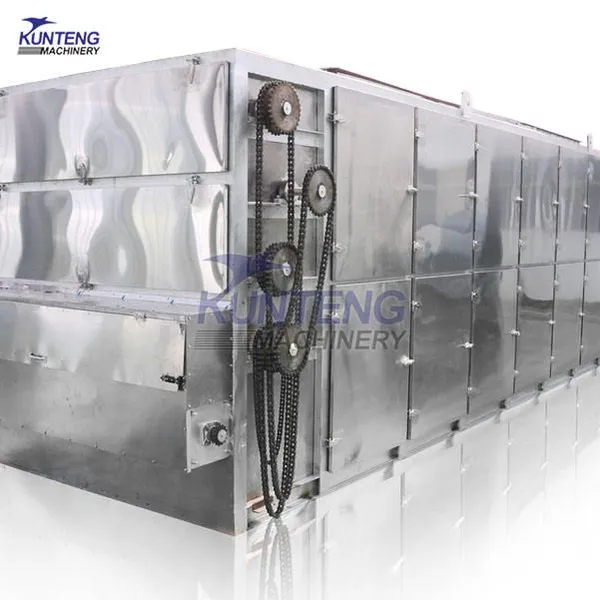 Large Capacity Automatic Vegetable Mesh Belt Conveyor Dryer for Coriander, Celery Drying Machine EPC