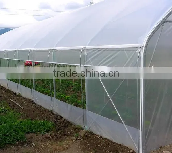 60m Length 3.5m Height Steel Dome Structure photo-2