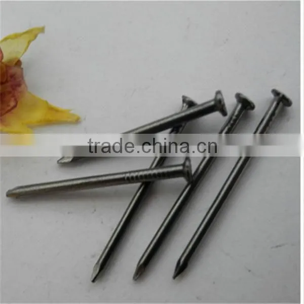 Good Quality Common Wire Nail/Bright Common Nails photo-3