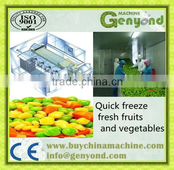quick freezer DC-1500
