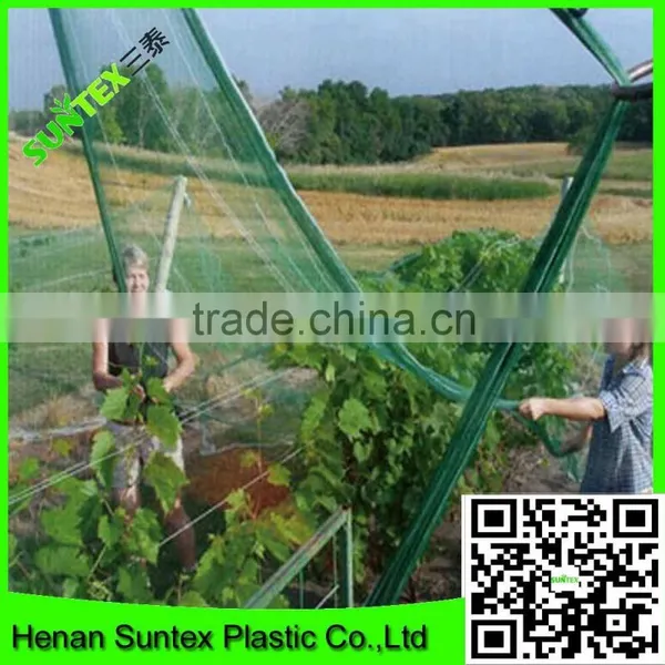 High Strength HDPE Extruded Fruits Protective Bird Netting photo-2