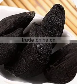 Organic Many Heads Balck Garlic