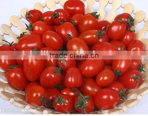Fresh Vegetables Canned Tomato Paste Concentrated 28-30%,tomato Sauce photo-3