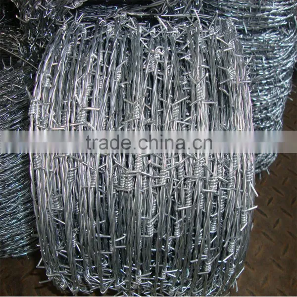 Electro/Hot Dipped Galvanized Double Line Barbed Wire photo-3