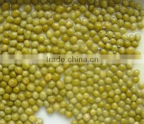 Canned Fresh Green Peas With Best Price for Sale photo-4