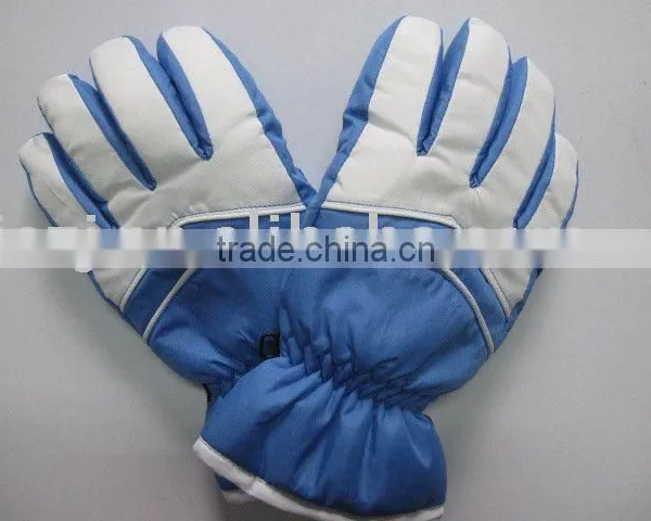 Ski Glove & Gloves