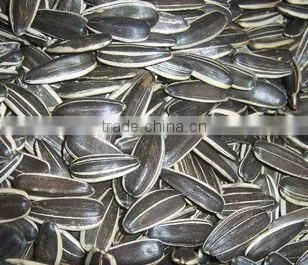 2016 New Crop Sunflower Seeds 3638 Market Price