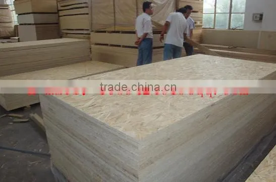 16.5mm E0 Osb Board in Best Price /8mmto30mmthickness Made in China photo-5