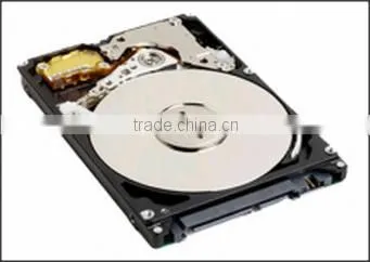 300 GB 10K RPM SAS Disk Unit