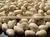 KAMMAM BLANCHED PEANUTS photo-3