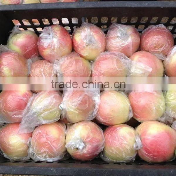 Fresh Apples photo-6