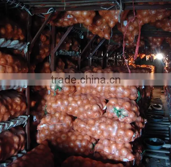 2015 Crop Fresh Red Onions for Sales With Market Price photo-4