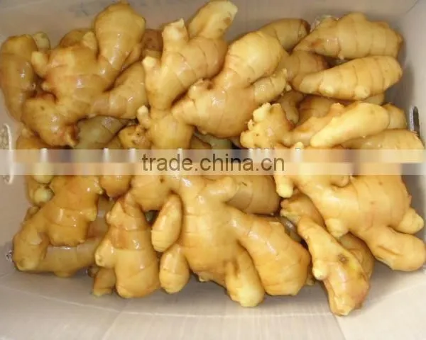 Yellow Fresh Ginger/Organic Ginger New Crop photo-2