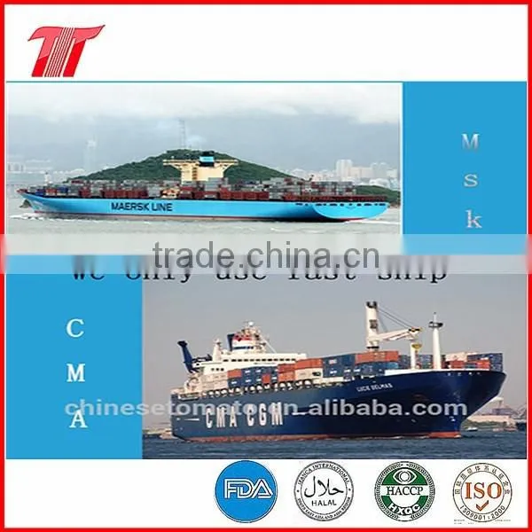 Color Printing Laminated Plastic Tomato Paste Sachet photo-4