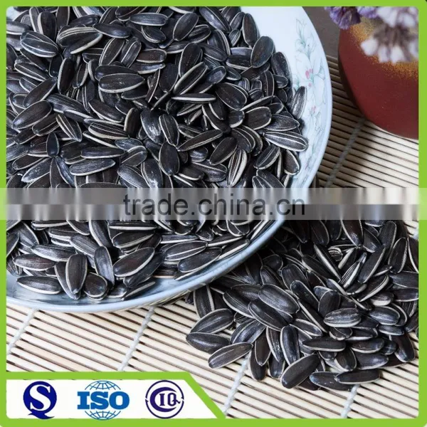 American Type New Crop Black Sunflower Seed 5009