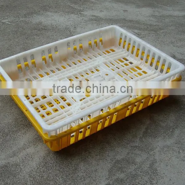 Easy Clean Good Quality Plastic Poultry Transport Crate for Chicken photo-4