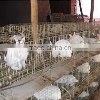 Indoor Rabbit Hutch photo-5