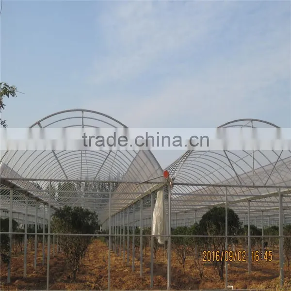 Film/Glass/PC Growing Greenhouse For Hydroponics NFT Lettuce photo-4