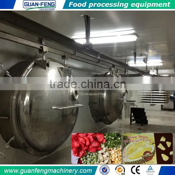 Professional Fruit Lyophilizer Equipment Industrial Freeze Dry Machine photo-4