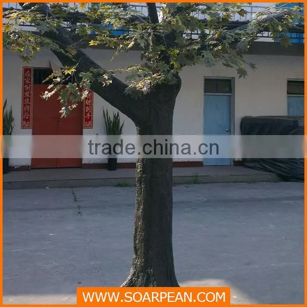 Tree Shaped Window Display