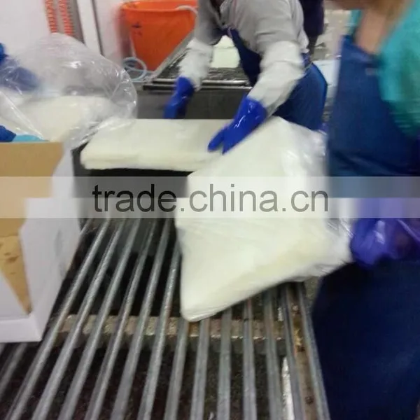 Frozen Squid Fillet