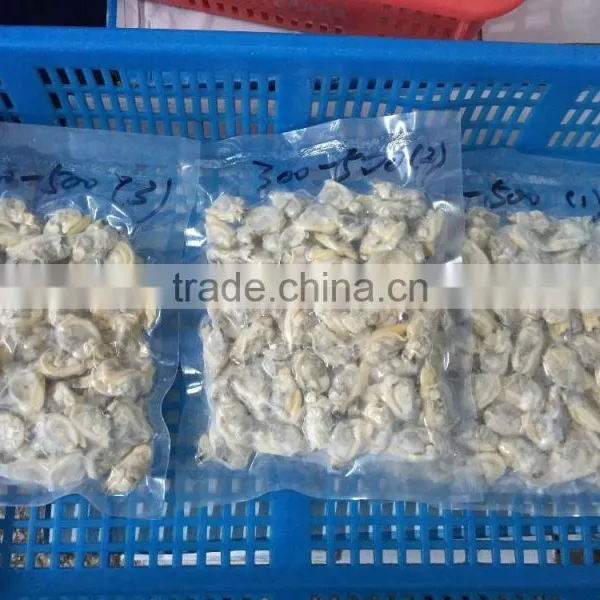 Fully Cooed Short Necked Clam Meat photo-4