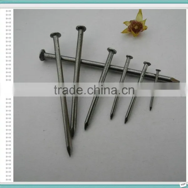 2.5" Polished Nail/Common Nail/Wire Nail photo-2